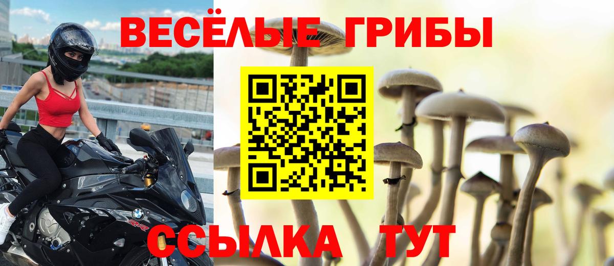 Кинешма  Галлюциногенные грибы Magic Shrooms  Вход с VPN  цены наркотик  Галлюциногенные грибы прущие грибы 